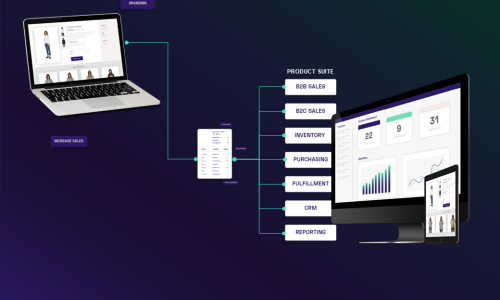 Project Falcon - Confidential Information Memorandum